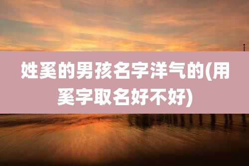 姓奚的男孩名字洋气的(用奚字取名好不好)