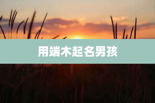 用端木起名男孩