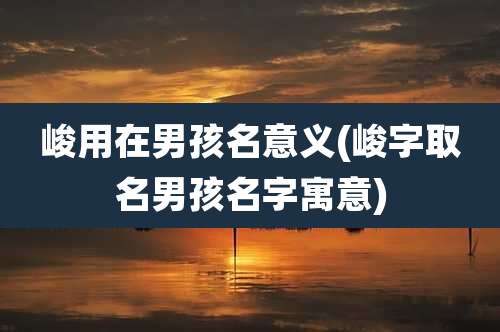 峻用在男孩名意义(峻字取名男孩名字寓意)