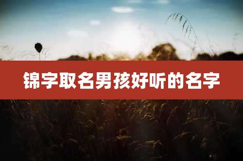 锦字取名男孩好听的名字