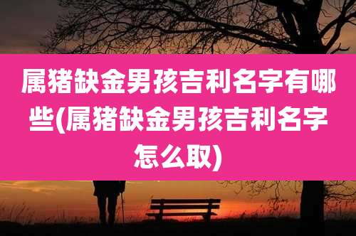 属猪缺金男孩吉利名字有哪些(属猪缺金男孩吉利名字怎么取)