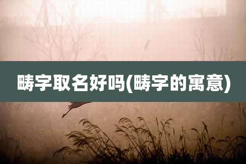 畴字取名好吗(畴字的寓意)