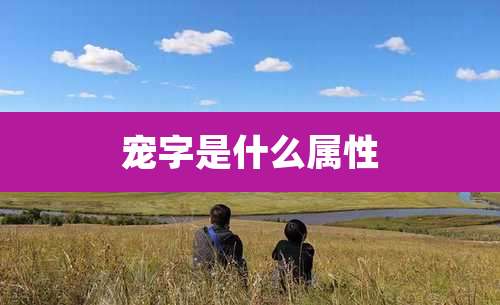 宠字是什么属性