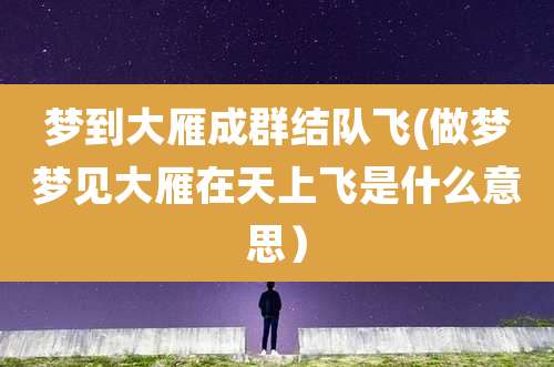 梦到大雁成群结队飞(做梦梦见大雁在天上飞是什么意思）