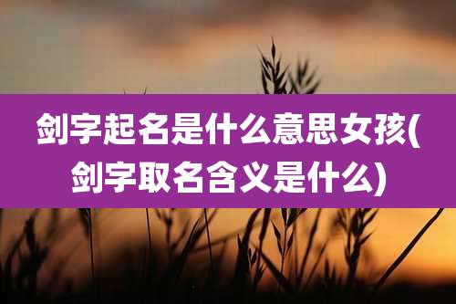 剑字起名是什么意思女孩(剑字取名含义是什么)