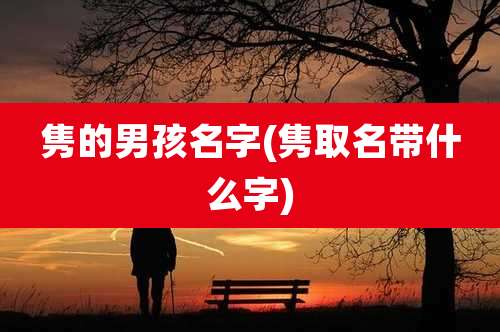 隽的男孩名字(隽取名带什么字)