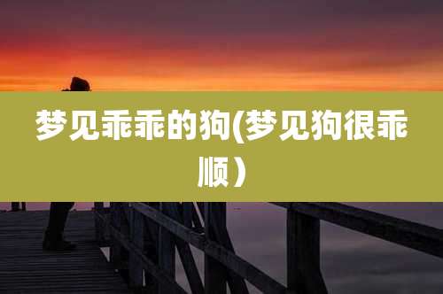 梦见乖乖的狗(梦见狗很乖顺)