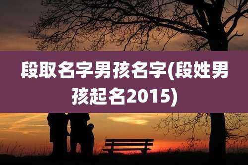 段取名字男孩名字(段姓男孩起名2015)