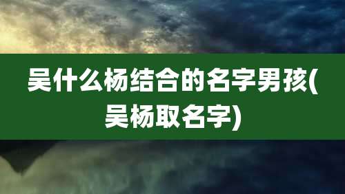 吴什么杨结合的名字男孩(吴杨取名字)