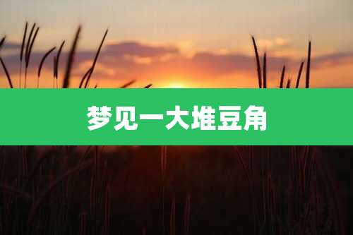 梦见一大堆豆角