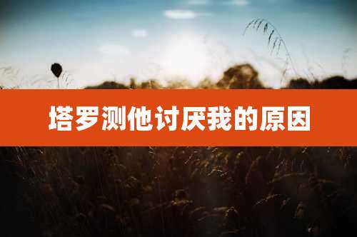 塔罗测他讨厌我的原因