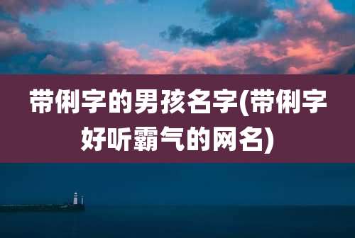 带俐字的男孩名字(带俐字好听霸气的网名)