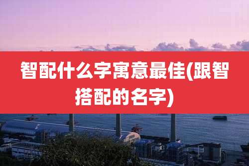 智配什么字寓意最佳(跟智搭配的名字)