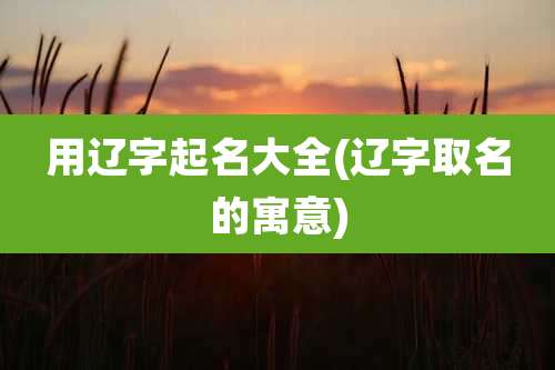 用辽字起名大全(辽字取名的寓意)