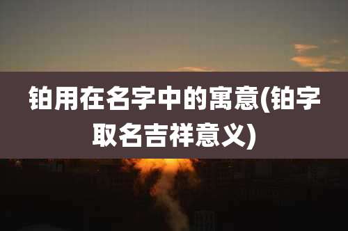 铂用在名字中的寓意(铂字取名吉祥意义)