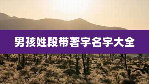 男孩姓段带著字名字大全