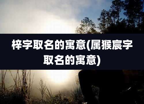 梓字取名的寓意(属猴宸字取名的寓意)