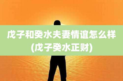 戊子和癸水夫妻情谊怎么样(戊子癸水正财)