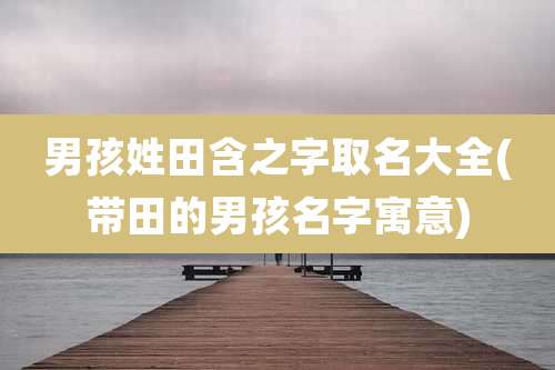 男孩姓田含之字取名大全(带田的男孩名字寓意)