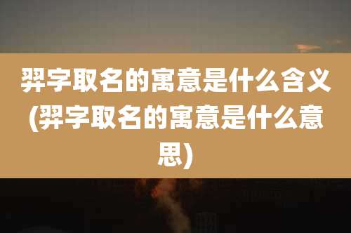 羿字取名的寓意是什么含义(羿字取名的寓意是什么意思)