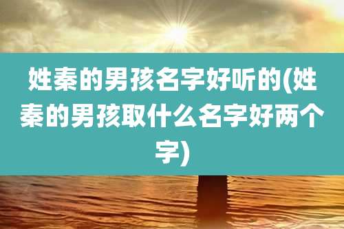 姓秦的男孩名字好听的(姓秦的男孩取什么名字好两个字)