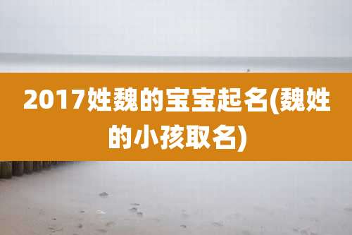 2017姓魏的宝宝起名(魏姓的小孩取名)