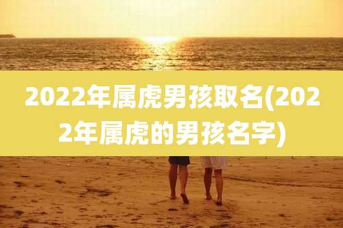 2022年属虎男孩取名(2022年属虎的男孩名字)