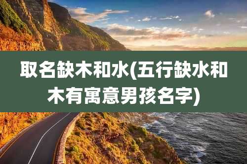 取名缺木和水(五行缺水和木有寓意男孩名字)