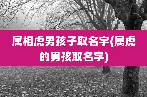 属相虎男孩子取名字(属虎的男孩取名字)