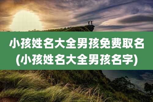 小孩姓名大全男孩免费取名(小孩姓名大全男孩名字)
