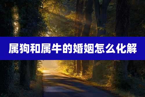 属狗和属牛的婚姻怎么化解