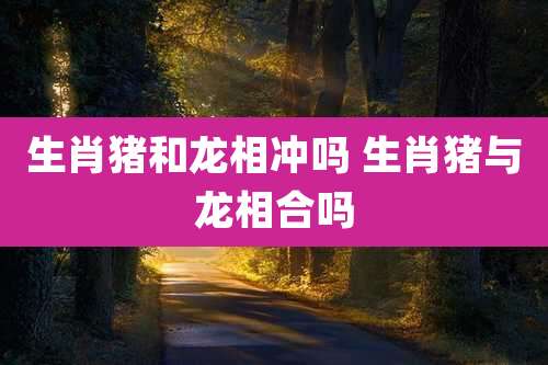 生肖猪和龙相冲吗 生肖猪与龙相合吗