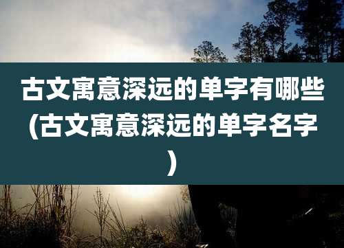 古文寓意深远的单字有哪些(古文寓意深远的单字名字)