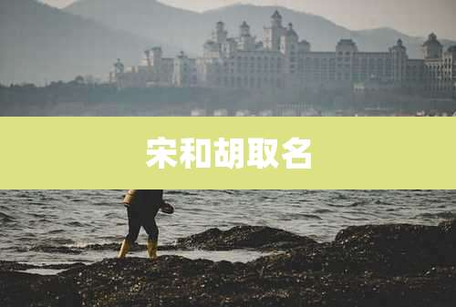 宋和胡取名