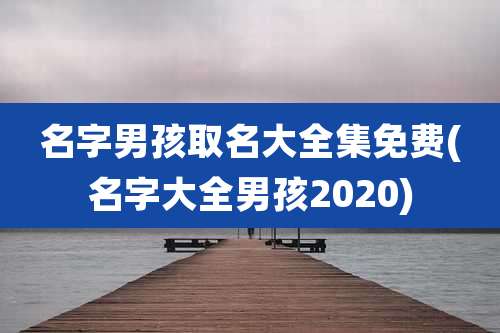 名字男孩取名大全集免费(名字大全男孩2020)