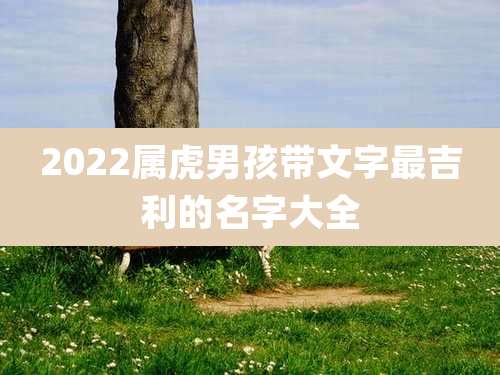 2022属虎男孩带文字最吉利的名字大全