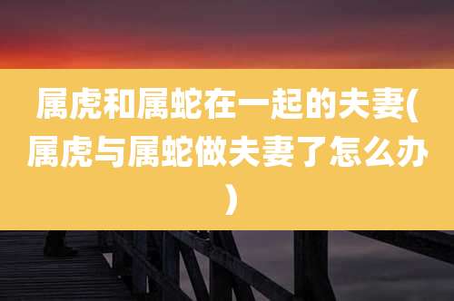 属虎和属蛇在一起的夫妻(属虎与属蛇做夫妻了怎么办)