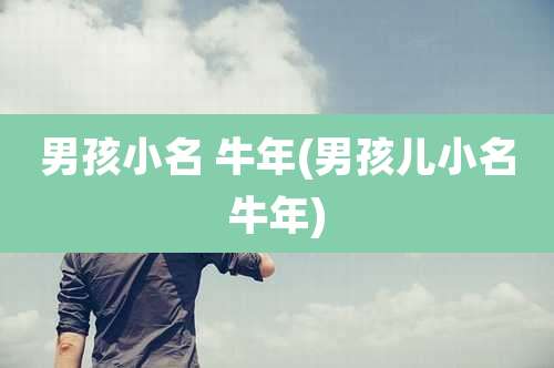 男孩小名 牛年(男孩儿小名牛年)