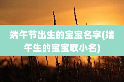 端午节出生的宝宝名字(端午生的宝宝取小名)