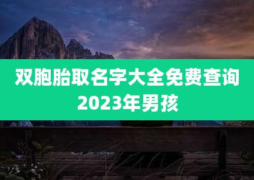 双胞胎取名字大全免费查询2023年男孩