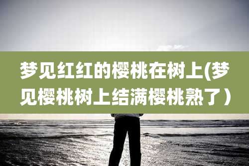 梦见红红的樱桃在树上(梦见樱桃树上结满樱桃熟了）