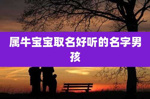 属牛宝宝取名好听的名字男孩