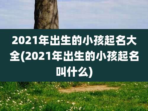 2021年出生的小孩起名大全(2021年出生的小孩起名叫什么)