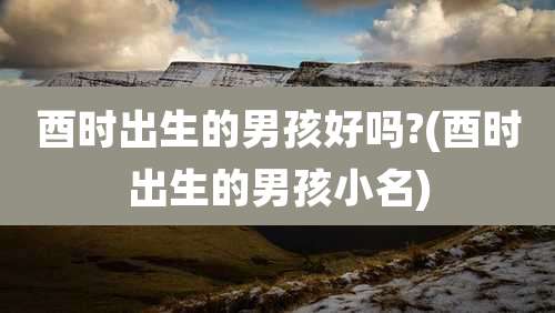酉时出生的男孩好吗?(酉时出生的男孩小名)