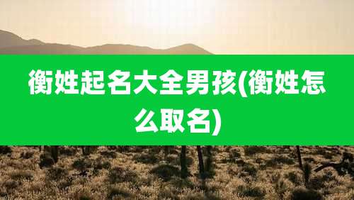 衡姓起名大全男孩(衡姓怎么取名)