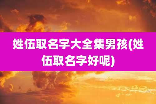 姓伍取名字大全集男孩(姓伍取名字好呢)
