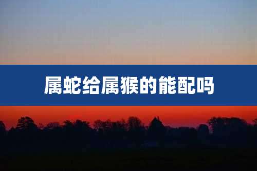 属蛇给属猴的能配吗