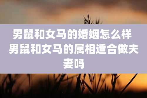 男鼠和女马的婚姻怎么样 男鼠和女马的属相适合做夫妻吗