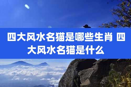 四大风水名猫是哪些生肖 四大风水名猫是什么