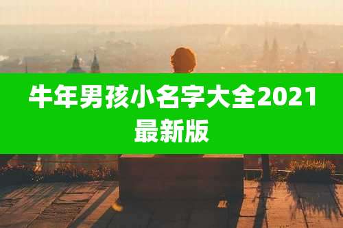 牛年男孩小名字大全2021最新版